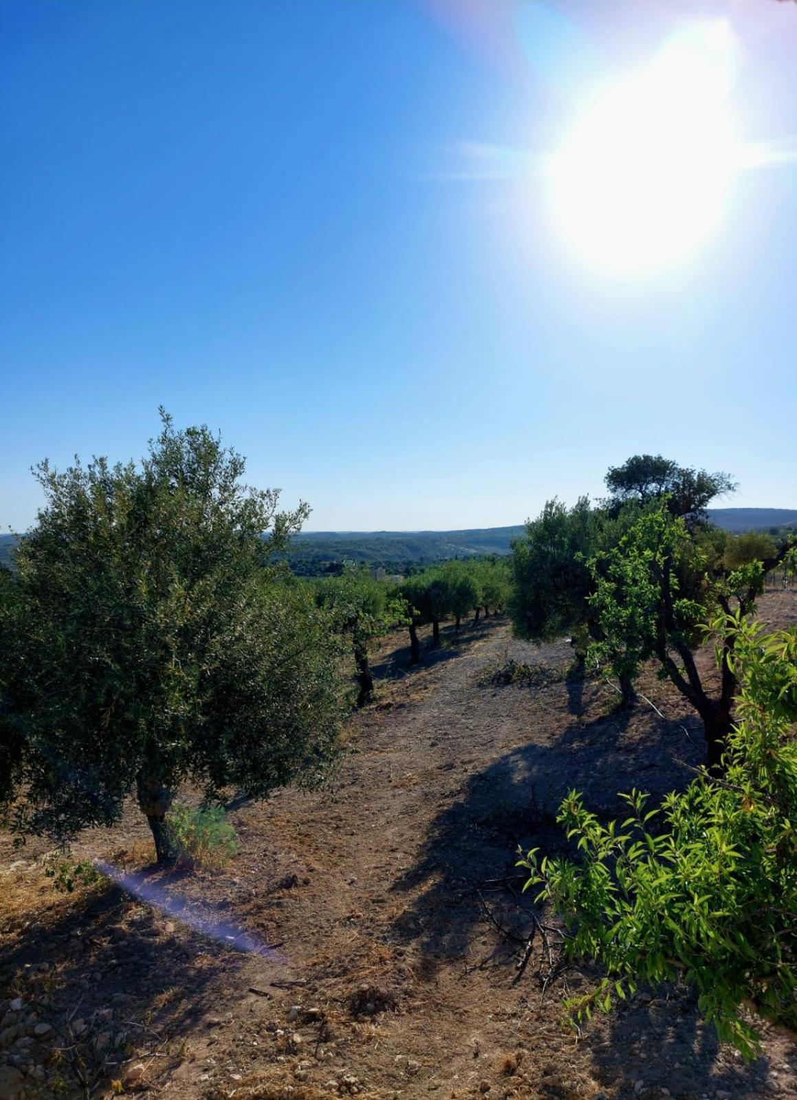 "Bnb Noto" - Charming Tiny House Bagian luar foto
