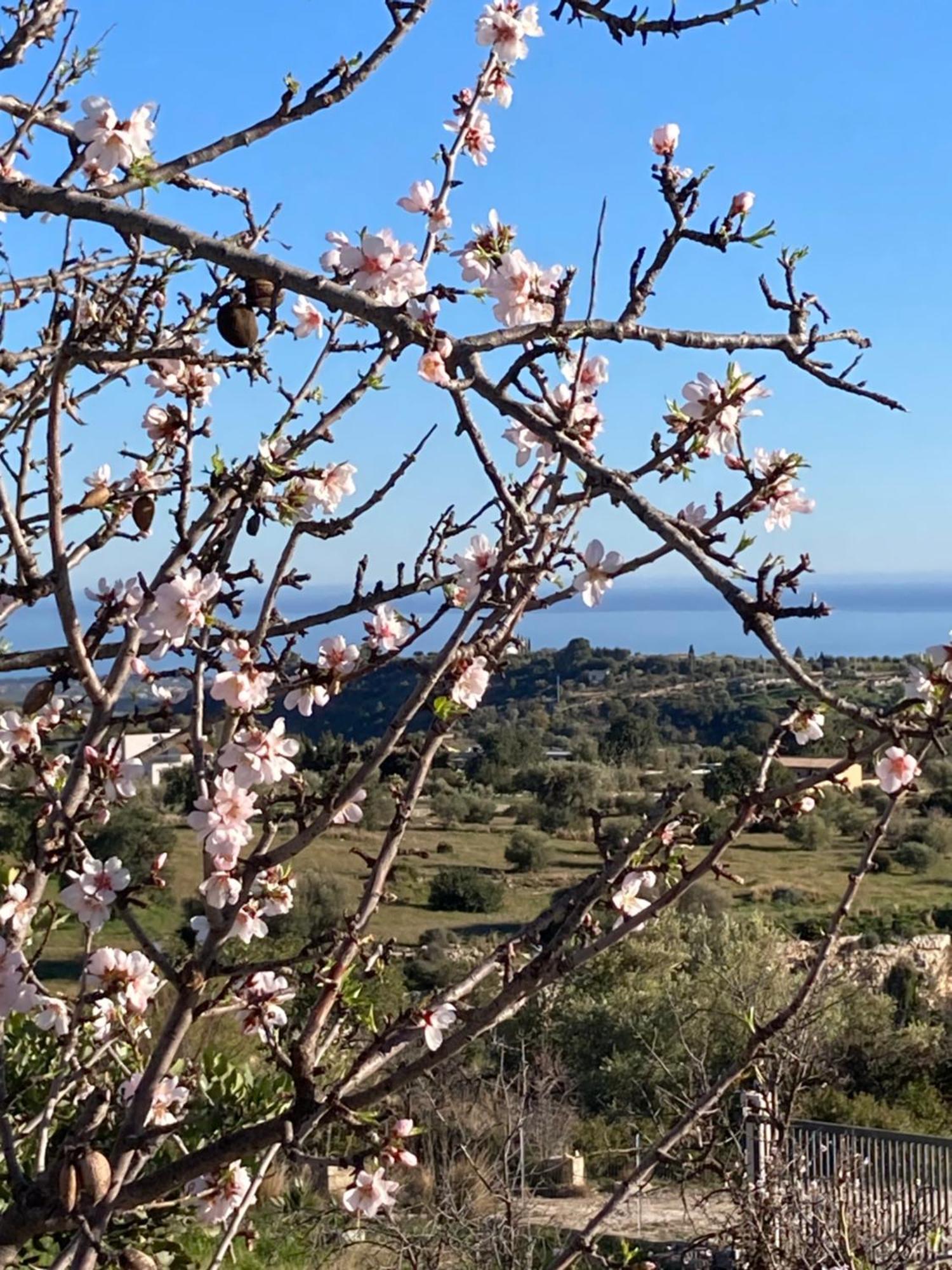 "Bnb Noto" - Charming Tiny House Bagian luar foto
